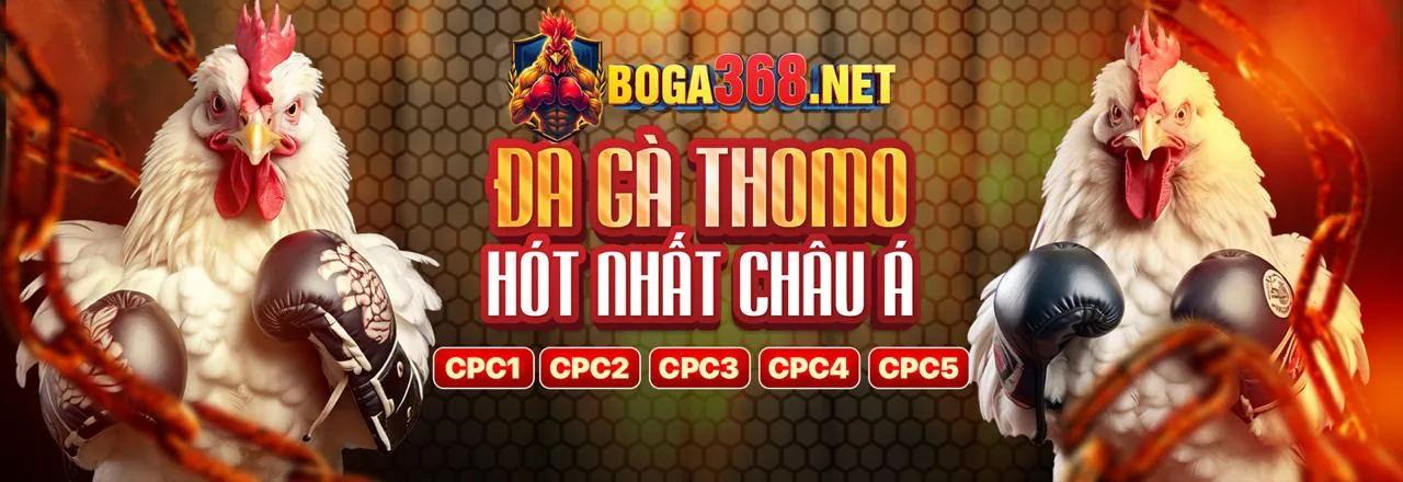 Đá gà trực tuyến đỉnh cao tại Vina88 Nổ Hũ